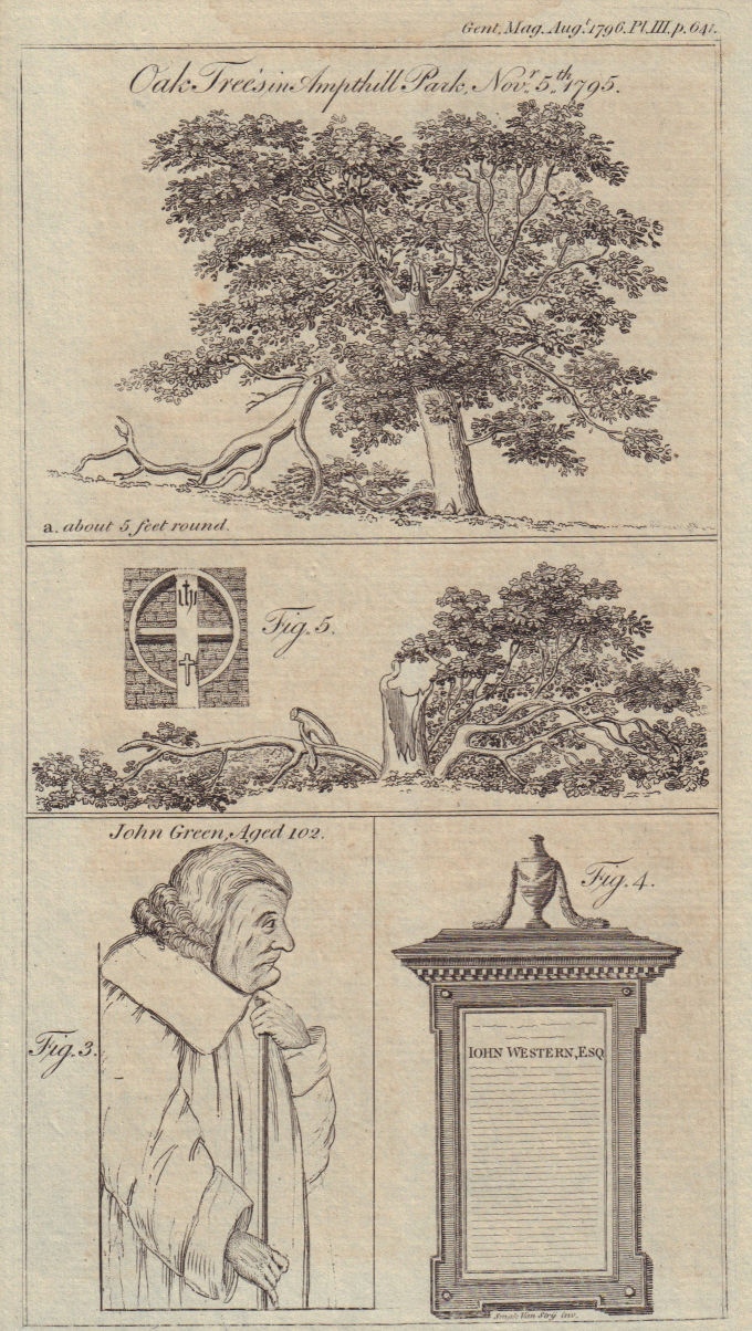 Old oak trees Ampthill Park, Beds. John Green of Wexford portrait, Ireland 1796